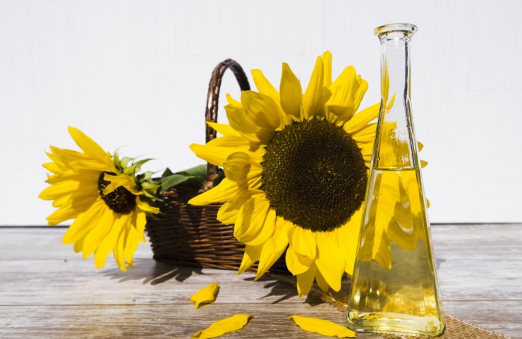 oil-sunflower