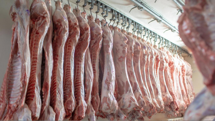 Торговля мясом на товарной бирже: кейс «Черкизово»