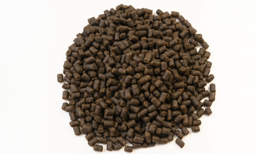 Как ГК «МЕЛКОМ» строит полный цикл аквакультуры в России: рыбоводные хозяйства и собственное кормопроизводство