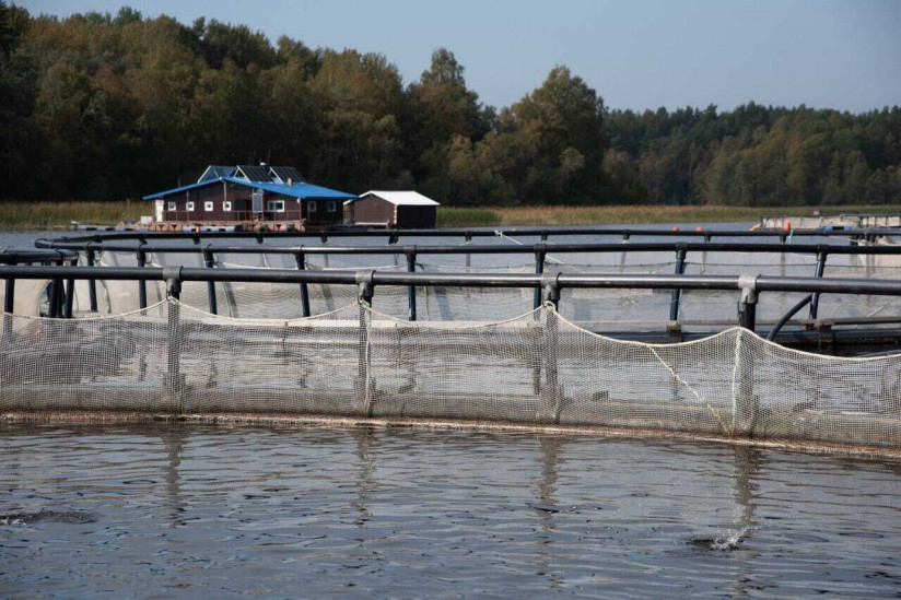 Как ГК «МЕЛКОМ» строит полный цикл аквакультуры в России: рыбоводные хозяйства и собственное кормопроизводство