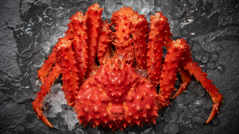 Почему камчатский краб стоит целое состояние в Японии