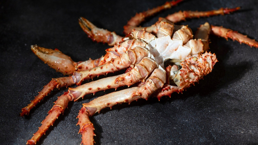 Почему камчатский краб стоит целое состояние в Японии