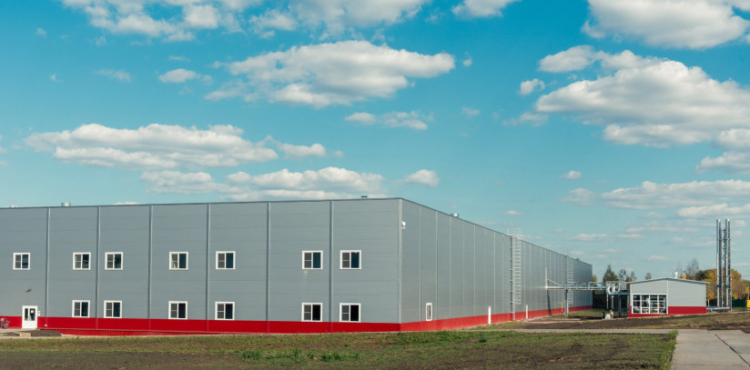 ГК «Талина» делает ставку на заморозку: новое направление и планы по масштабированию