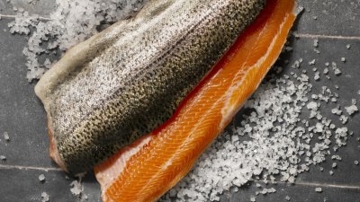 Технология посола форели: контроль биохимических, структурных и экономических параметров