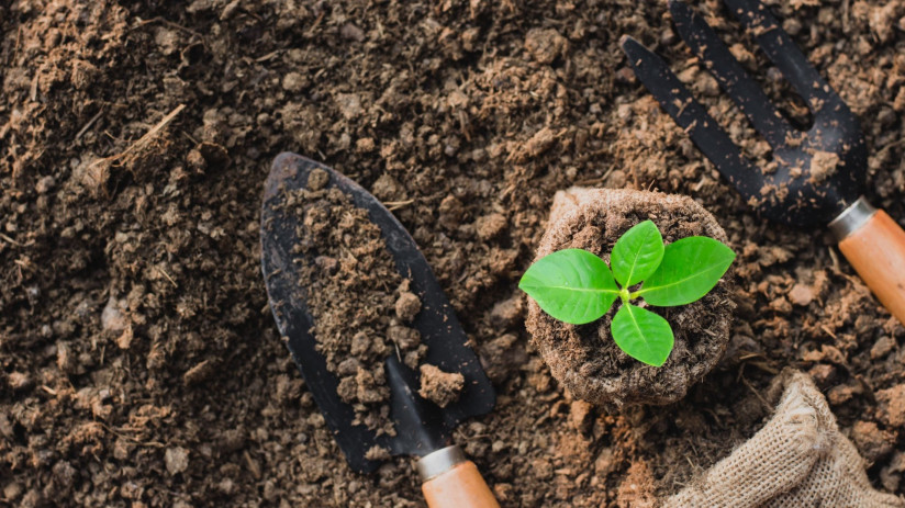 Решения для сокращения отходов от кофе для бизнеса и потребителей