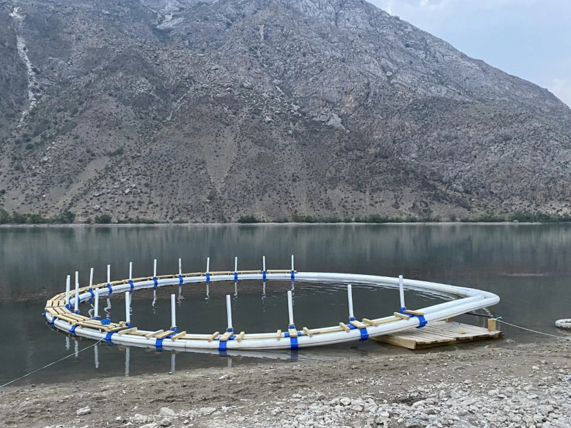 Расчёт рентабельности рыбоводческих хозяйств: комплексный подход