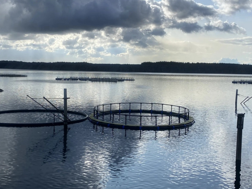 Расчёт рентабельности рыбоводческих хозяйств: комплексный подход