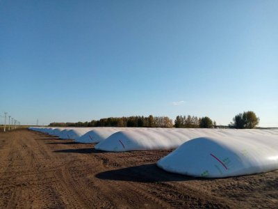 Рукава вместо элеватора: как полимерные технологии меняют хранение зерна в России