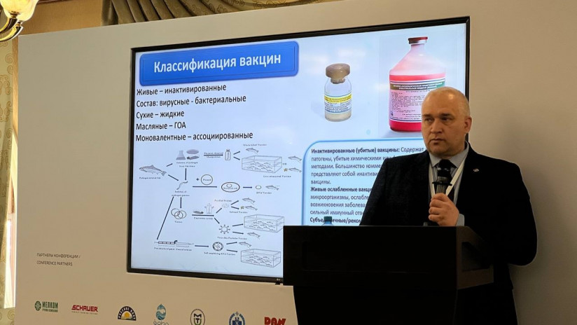 «Главрыба. Экологичная перезагрузка аквакультуры»: как экологическая повестка становится новой моделью развития отрасли