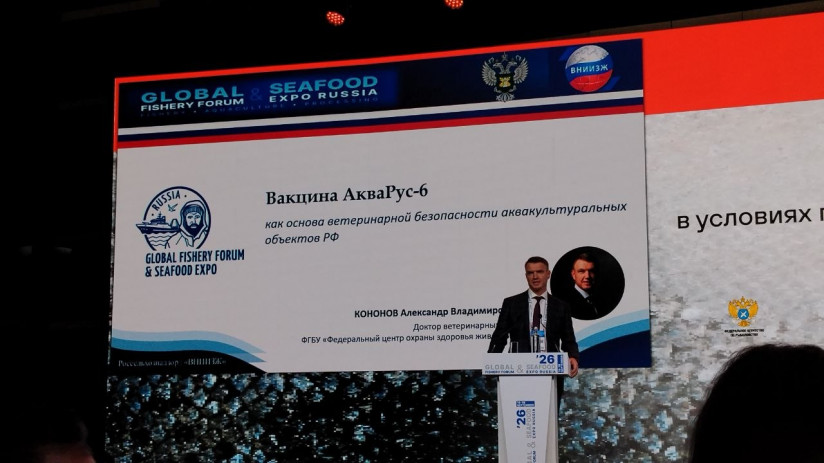 Российское форелеводство переходит от роста объемов к эффективности производства