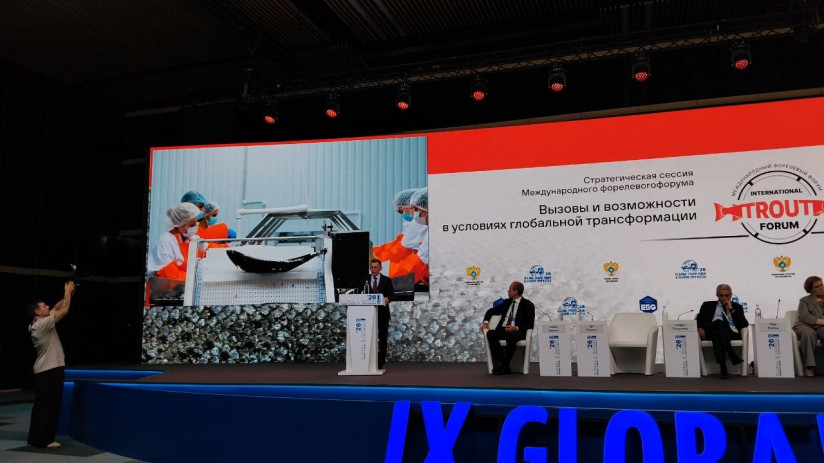 Российское форелеводство переходит от роста объемов к эффективности производства