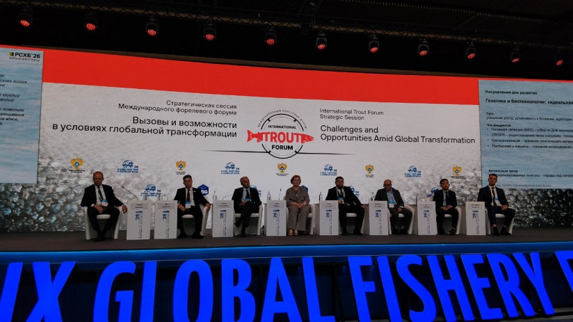 Российское форелеводство переходит от роста объемов к эффективности производства