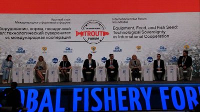 Форелеводство ищет модель кооперации для развития генетики, кормов и ветеринарии