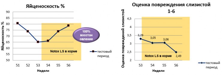 Эффективный подход в борьбе с микотоксинами
