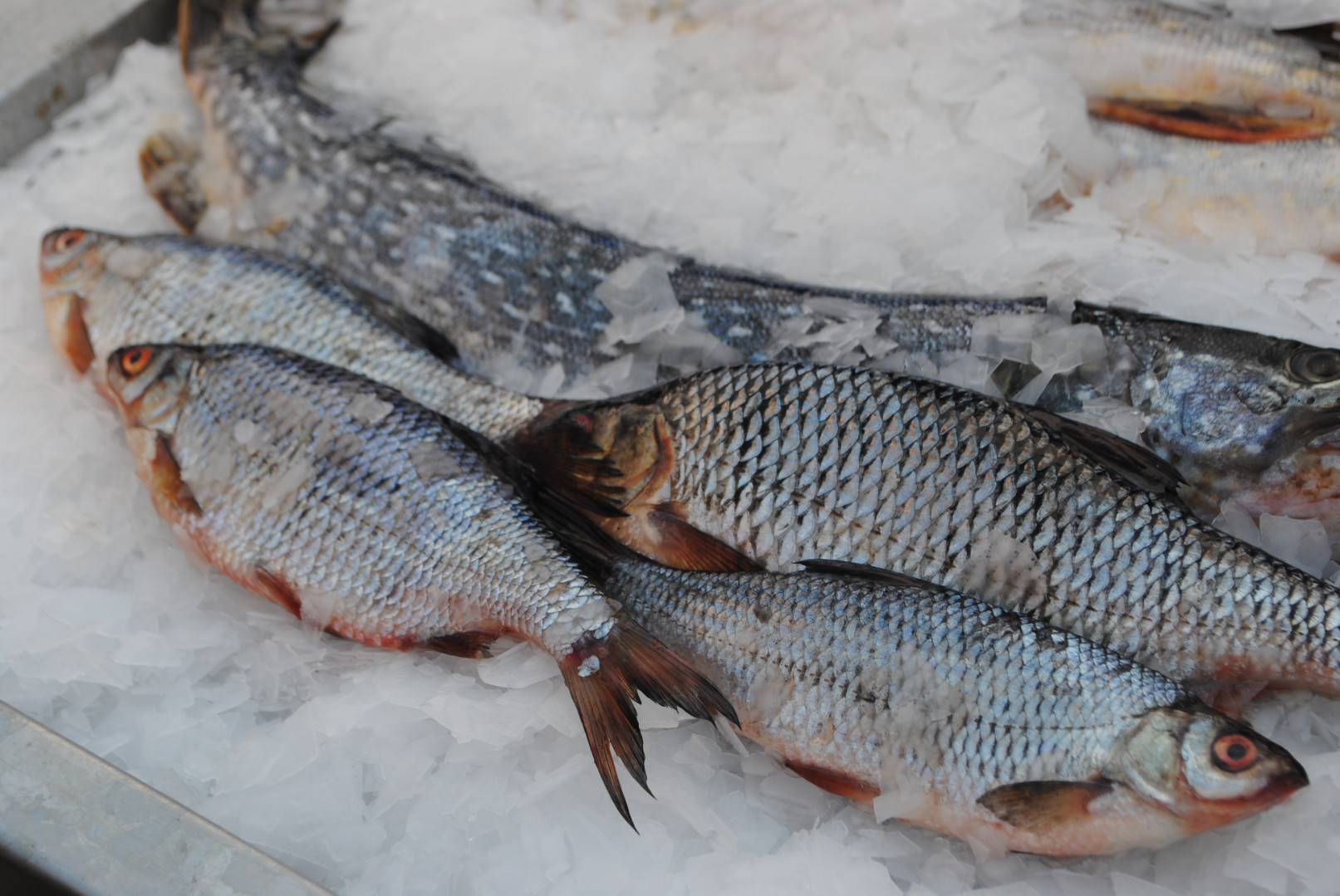 Определение неорганического мышьяка в продукции водного промысла и  аквакультуре