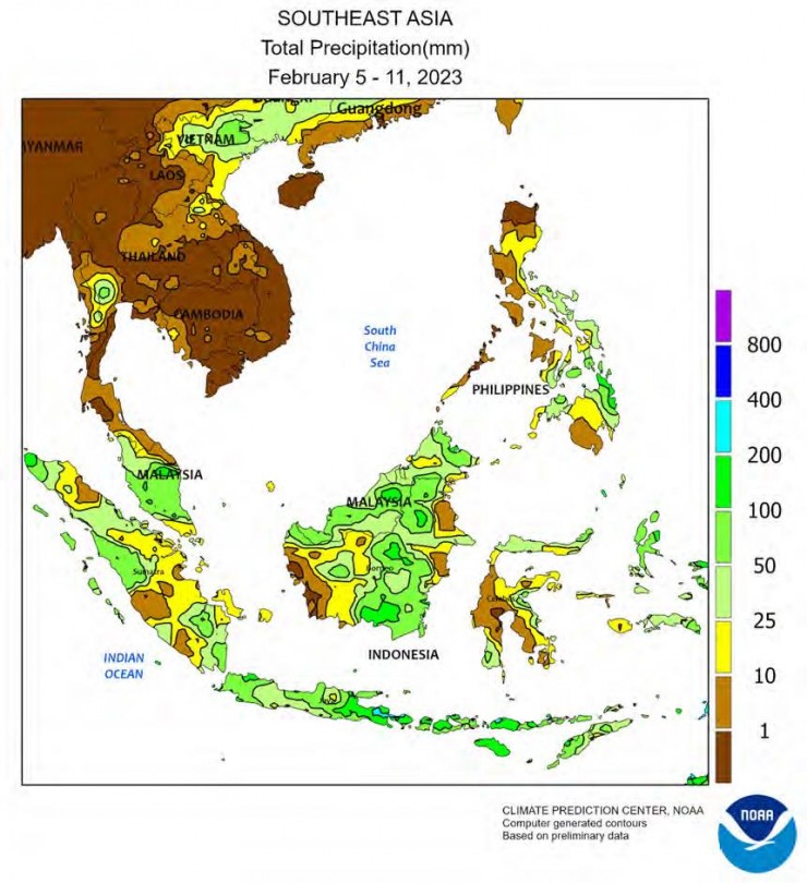 Потребление пальмового масла в Индонезии вырастет за счет биодизеля