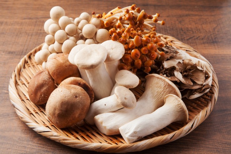 Как вырастить белые грибы дома на подоконнике: пошаговая инструкция с фото