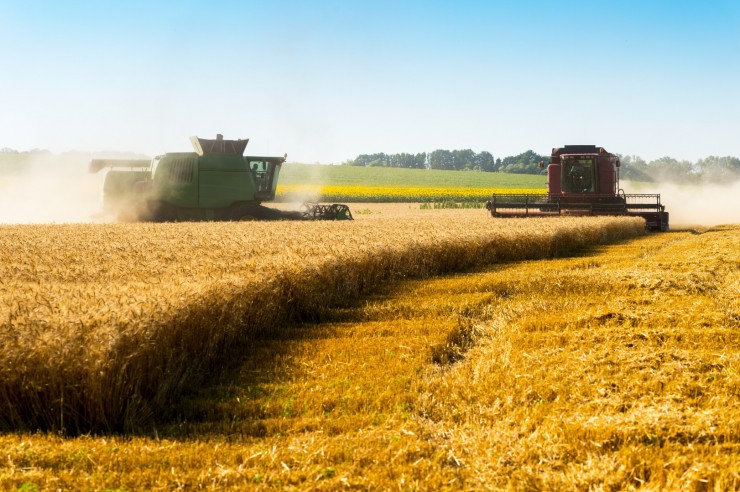 Зерновая сделка: история и последствия для мировой продовольственной безопасности