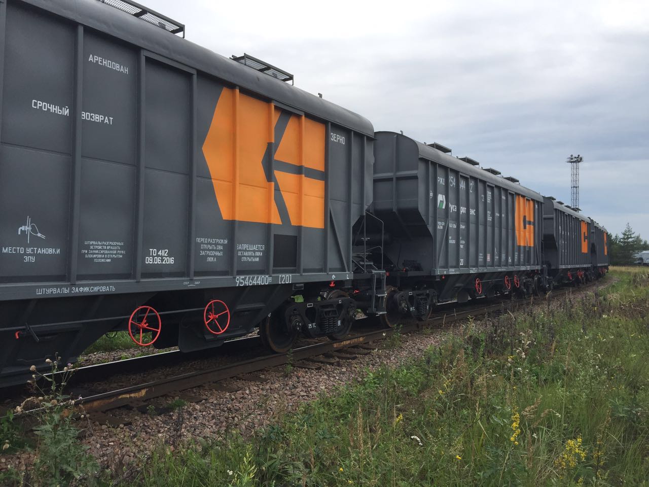 Железнодорожные перевозки грузов в России услуги перспективы особенности