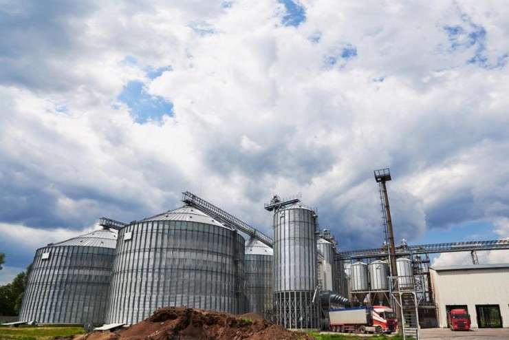 ФГБУ «Центр оценки качества зерна» | Зерновая безопасность. Как сберечь зерно в хранилищах