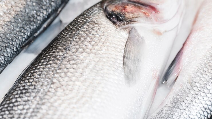 close-up-fresh-fish-market_23-2148263877