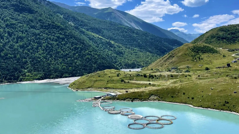 Производство форели в Северной Осетии: перспективы и вызовы