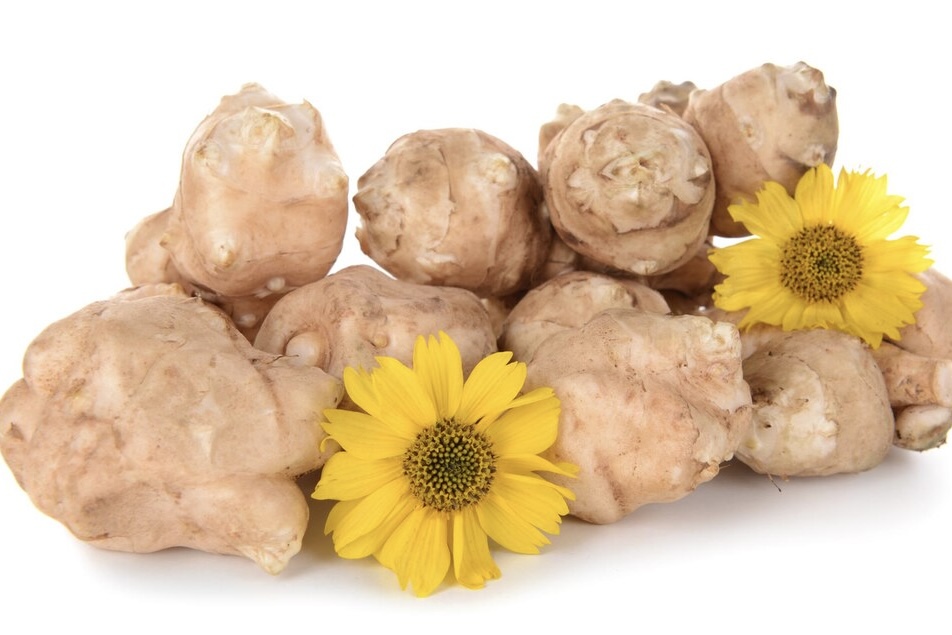 Инулин — пребиотик №1 в мире: общие свойства, применение, перспективы на российском рынке