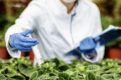 Фунгициды для растений