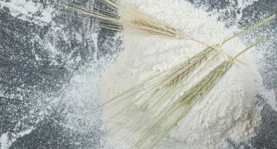 Как определить качество муки