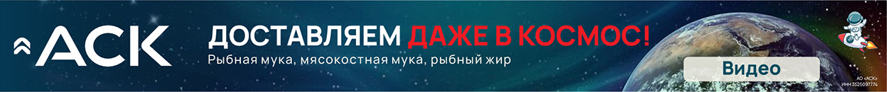 askfeed.ru