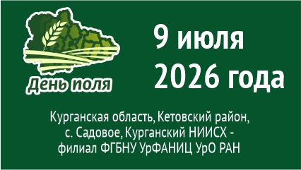 День поля