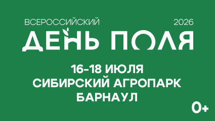 День поля