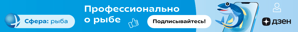 dzen.ru/sferaryba