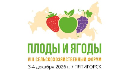 Плоды и ягоды