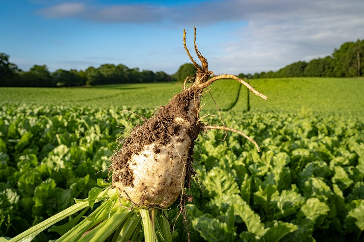 AdobeStock_373276826