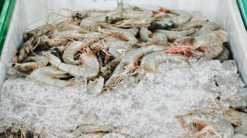 креветки в контейнере