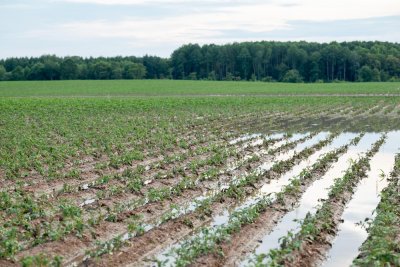 В Удмуртской Республике введен режим ЧС из-за переувлажнения почвы и создан оперативный штаб НСА