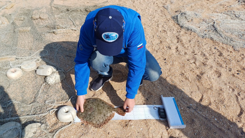 Камбала ВНИРО