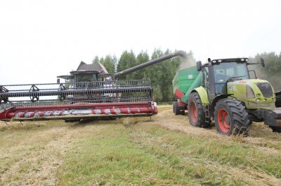 В Кузбассе намолотили более 1,1 млн тонн зерна