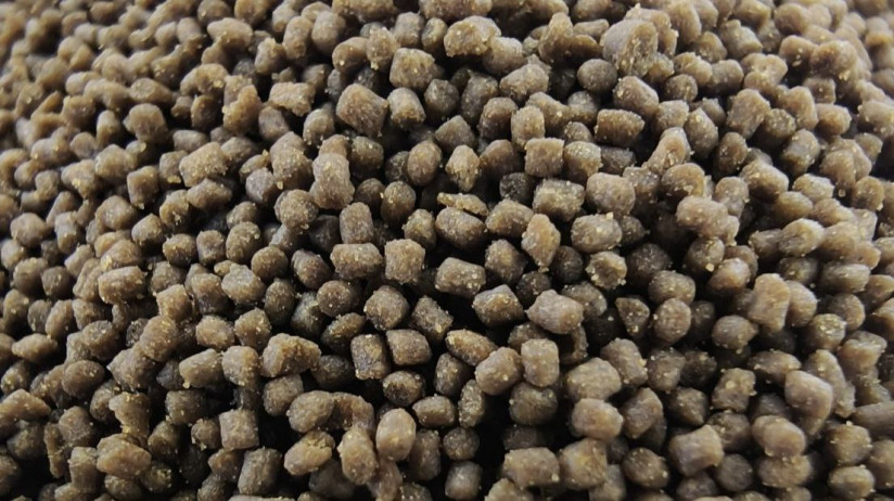 фото корма от Дмитрия Зекова