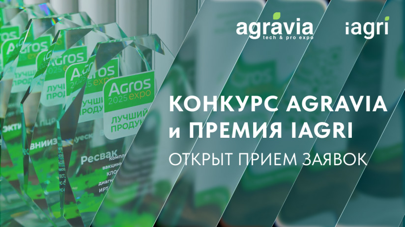 1280х720 ИТОГ_ПРИЕМ ЗАЯВОК