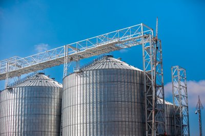 В Новороссийске НЗТ принял первую партию зерна нового урожая в рамках проекта «Авто-1500»