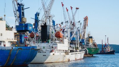 Владморрыбпорт подвел итоги перевалки рыбопродукции в третьем квартале 2025 года