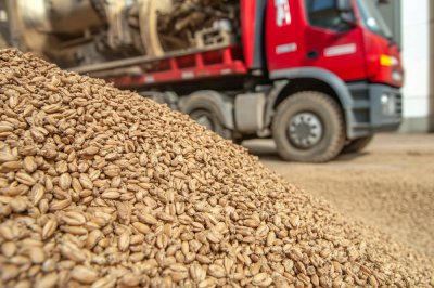 Внутренние железнодорожные перевозки зерна в сентябре выросли на 18,5%