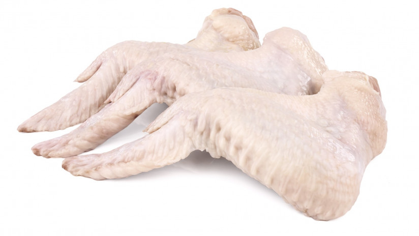 syrye-kurinye-kryl-a-na-belom-fone