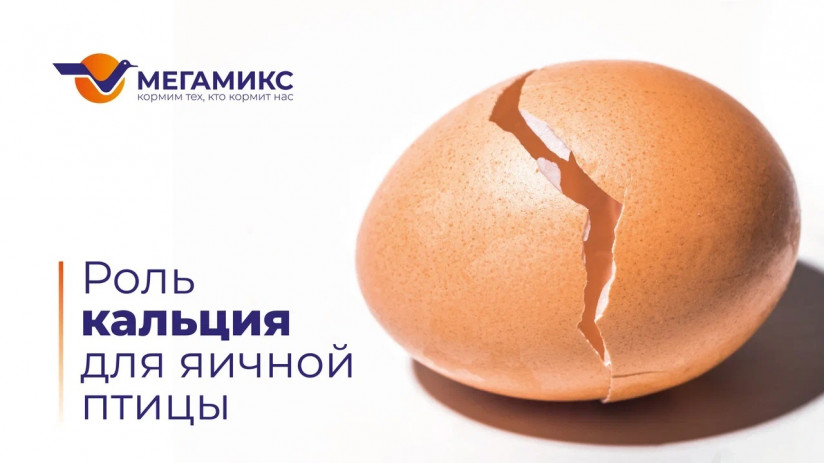 16х9_надпись. jpg