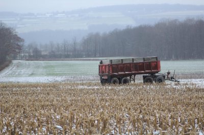 В Омской области введут режим ЧС из-за ранних снегопадов