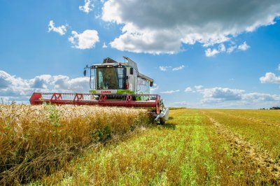 Группа «Черкизово» увеличила земельный банк в Алтайском крае