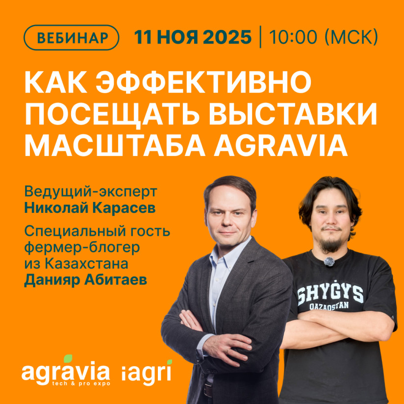 картинка к новости