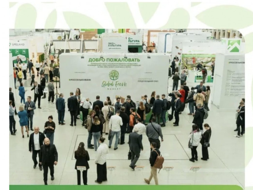 WhatsApp Image 2025-11-10 at 13.03.58